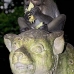 monkey_macaque_balinese_mf_ubud_v_0773_bal0786.jpg